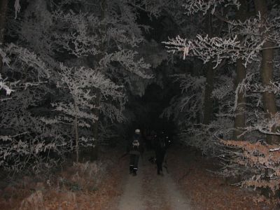 Kliknite za ogled večje slike