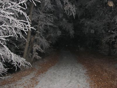 Kliknite za ogled večje slike