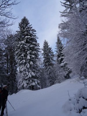 Kliknite za ogled večje slike