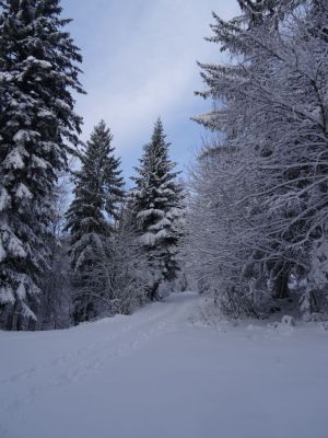 Kliknite za ogled večje slike