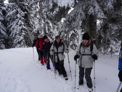 Kliknite za ogled večje slike