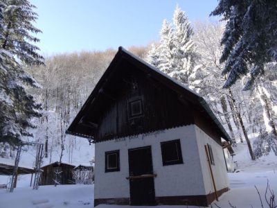 Kliknite za ogled večje slike