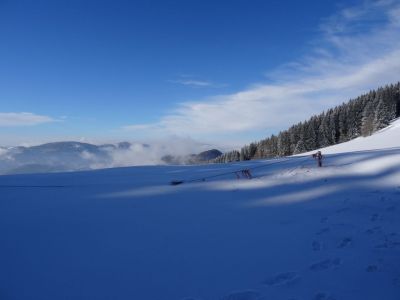 Kliknite za ogled večje slike