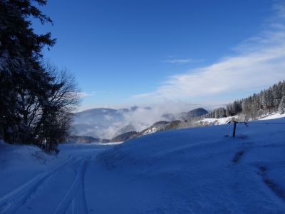 Kliknite za ogled večje slike
