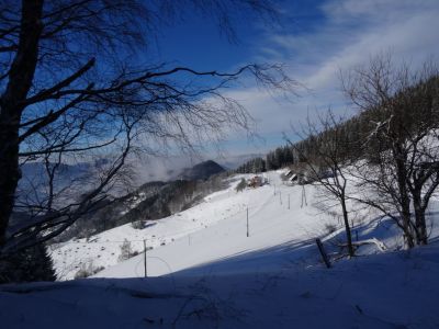 Kliknite za ogled večje slike