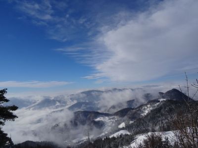 Kliknite za ogled večje slike