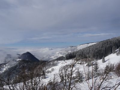 Kliknite za ogled večje slike