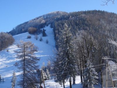 Kliknite za ogled večje slike
