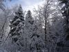 DSC04746.JPG