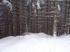 DSC04784.JPG