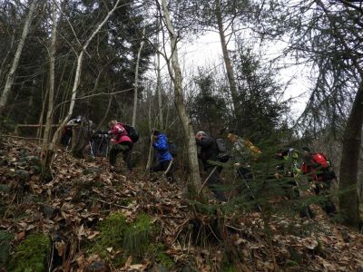 Kliknite za ogled večje slike