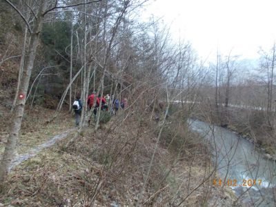 Kliknite za ogled večje slike
