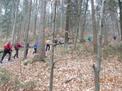 Kliknite za ogled večje slike