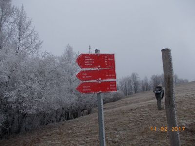 Kliknite za ogled večje slike