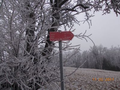 Kliknite za ogled večje slike