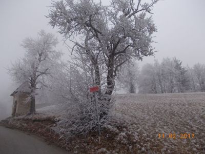 Kliknite za ogled večje slike