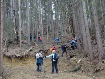 Kliknite za ogled večje slike