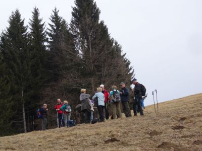 Kliknite za ogled večje slike