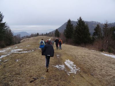 Kliknite za ogled večje slike