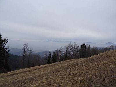 Kliknite za ogled večje slike