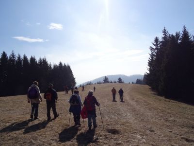 Kliknite za ogled večje slike