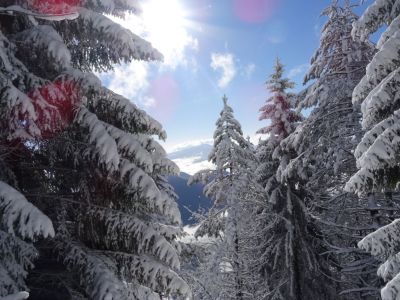 Kliknite za ogled večje slike