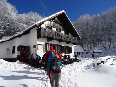 Kliknite za ogled večje slike