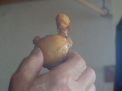 Kliknite za ogled večje slike