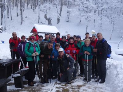 Kliknite za ogled večje slike