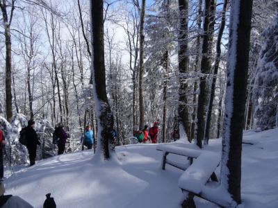 Kliknite za ogled večje slike
