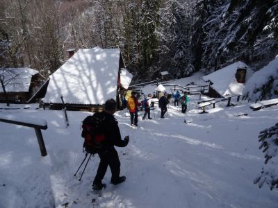 Kliknite za ogled večje slike