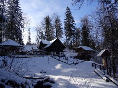 Kliknite za ogled večje slike