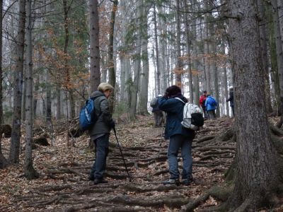 Kliknite za ogled večje slike
