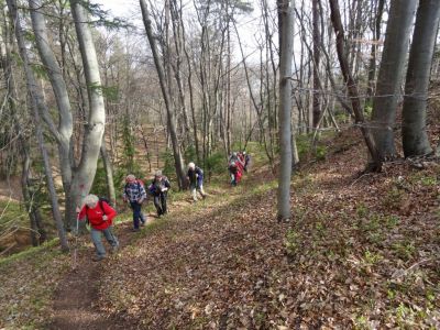 Kliknite za ogled večje slike
