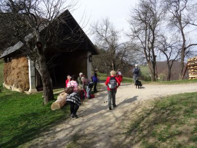 Kliknite za ogled večje slike