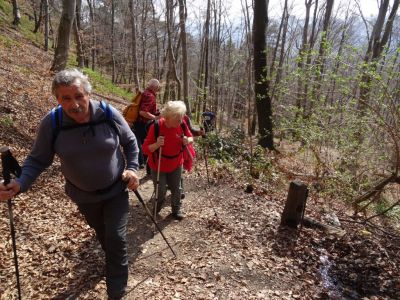 Kliknite za ogled večje slike