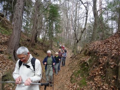 Kliknite za ogled večje slike