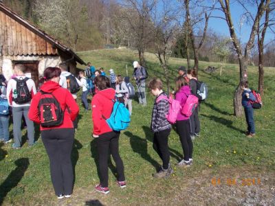 Kliknite za ogled večje slike