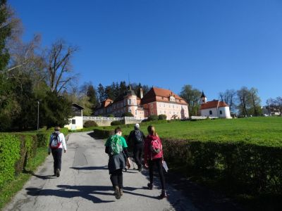 Kliknite za ogled večje slike