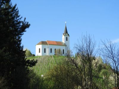 Kliknite za ogled večje slike