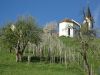 DSC04776.JPG