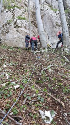 Kliknite za ogled večje slike