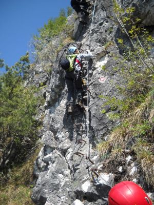 Kliknite za ogled večje slike
