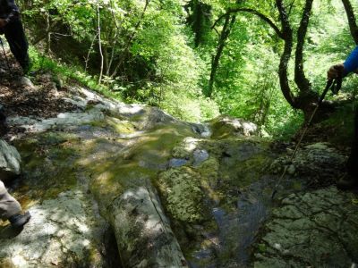 Kliknite za ogled večje slike