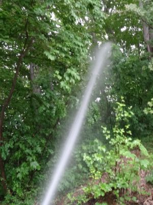 Kliknite za ogled večje slike