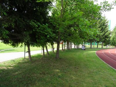 Kliknite za ogled večje slike