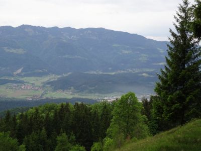 Kliknite za ogled večje slike