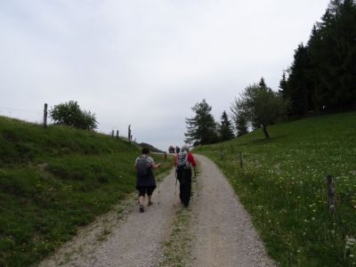 Kliknite za ogled večje slike