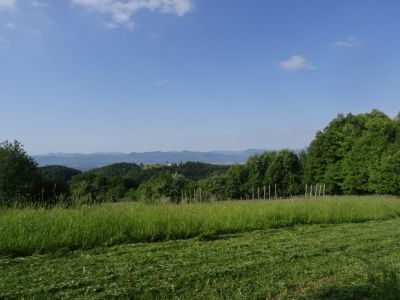 Kliknite za ogled večje slike