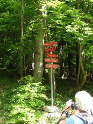 Kliknite za ogled večje slike